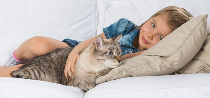 Was Tun Wenn Baby Katzen Flöhe Haben