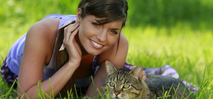 Zecken bei Katzen